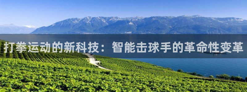 征途国际娱乐首页官网下载:打拳运动的新科技:智能击球手的革命